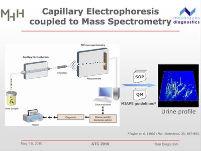 Capillary electrophoresis - mass spectrometer (CE-MS)